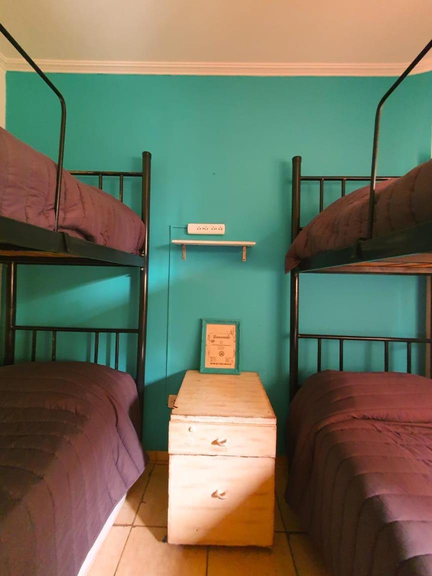 Hostel Punto Patagonico Neuquén Eksteriør bilde