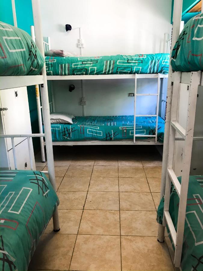 Hostel Punto Patagonico Neuquén Eksteriør bilde